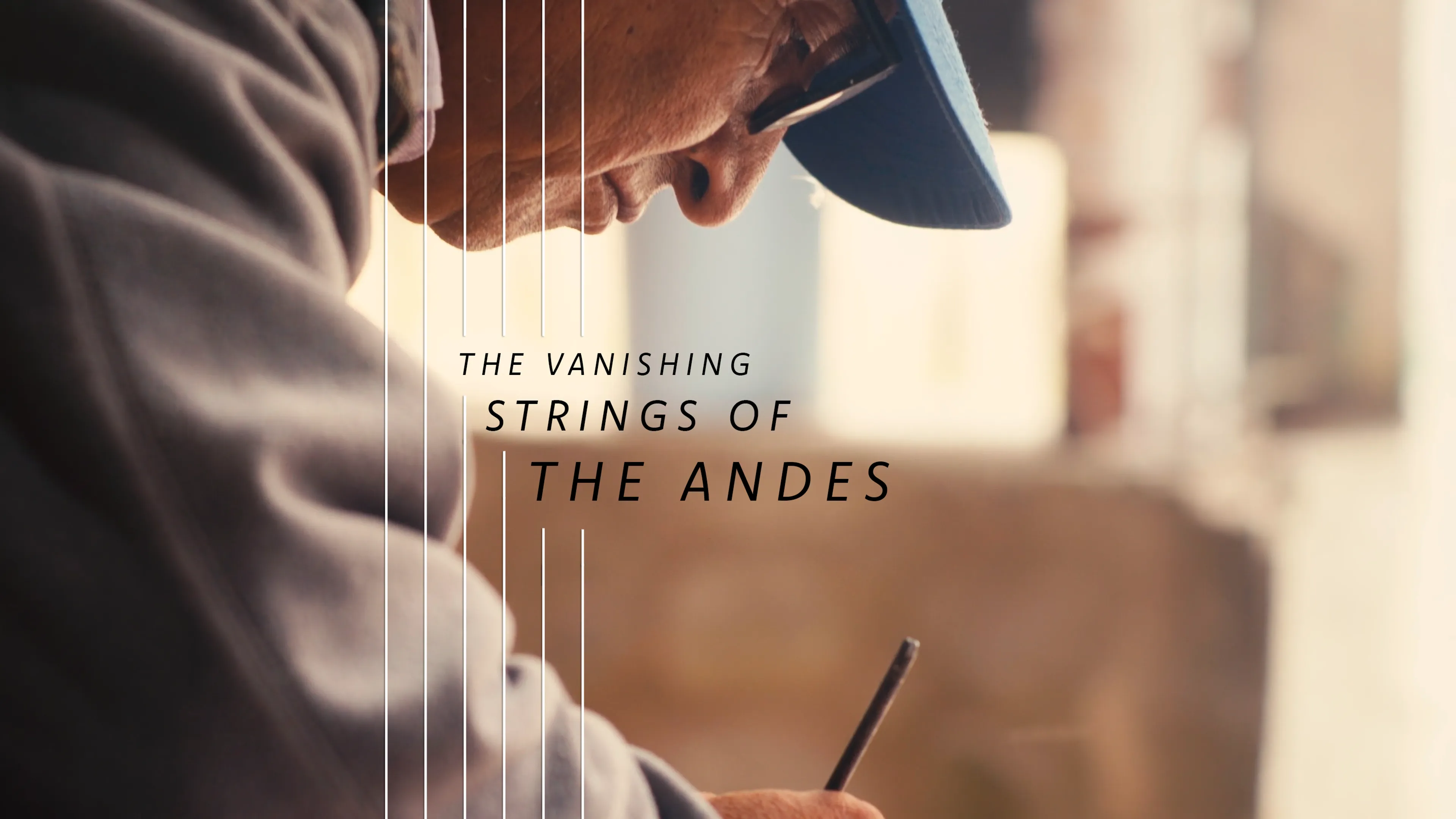 The Vanishing Strings of the Andes poster